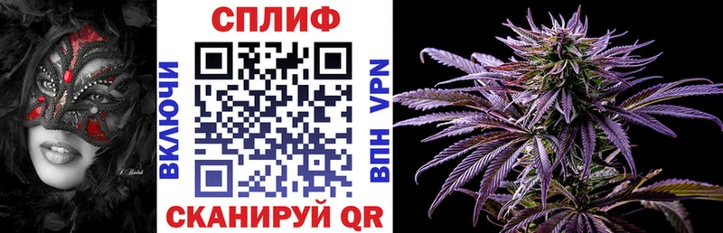 Купить закладки  Чебаркуль  Каннабис Ganja 